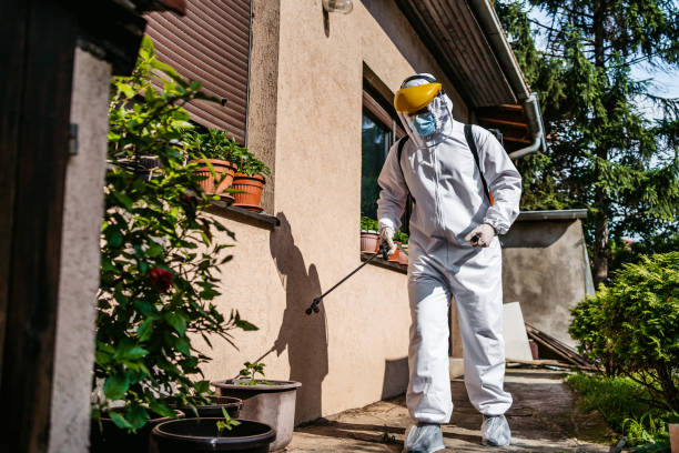 Best Emergency Pest Control  in Annandale, MN