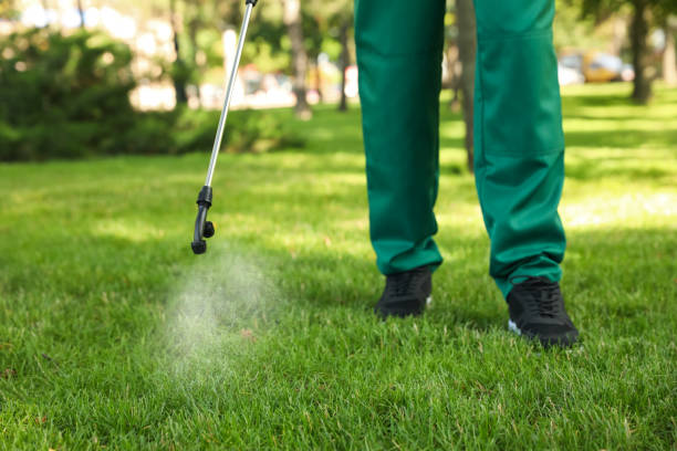 Pest Control Cost in Annandale, MN