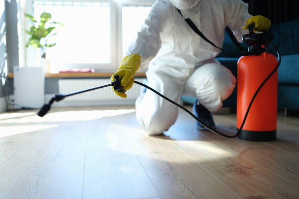 Best Mosquito Control Services  in Annandale, MN