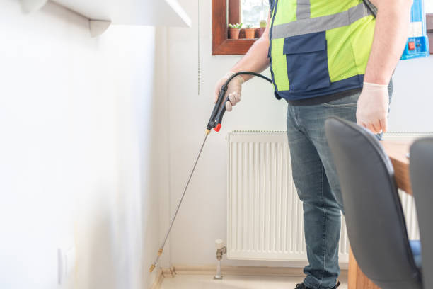 Best Bed Bug Extermination  in Annandale, MN