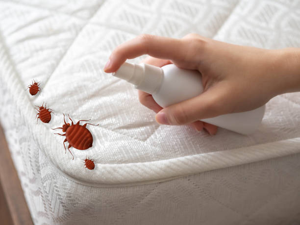 Best Best Pest Control Companies  in Annandale, MN