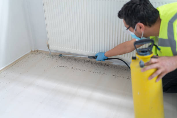 Best Pest Control Cost  in Annandale, MN